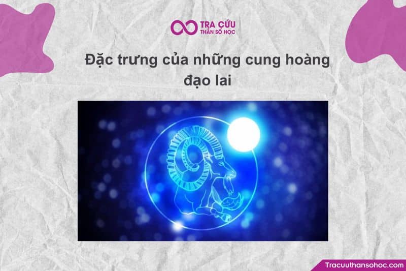 Người lai cung thường có tính cách đa chiều